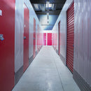 Tubo Led 09T8LED60MV65C Ogma III