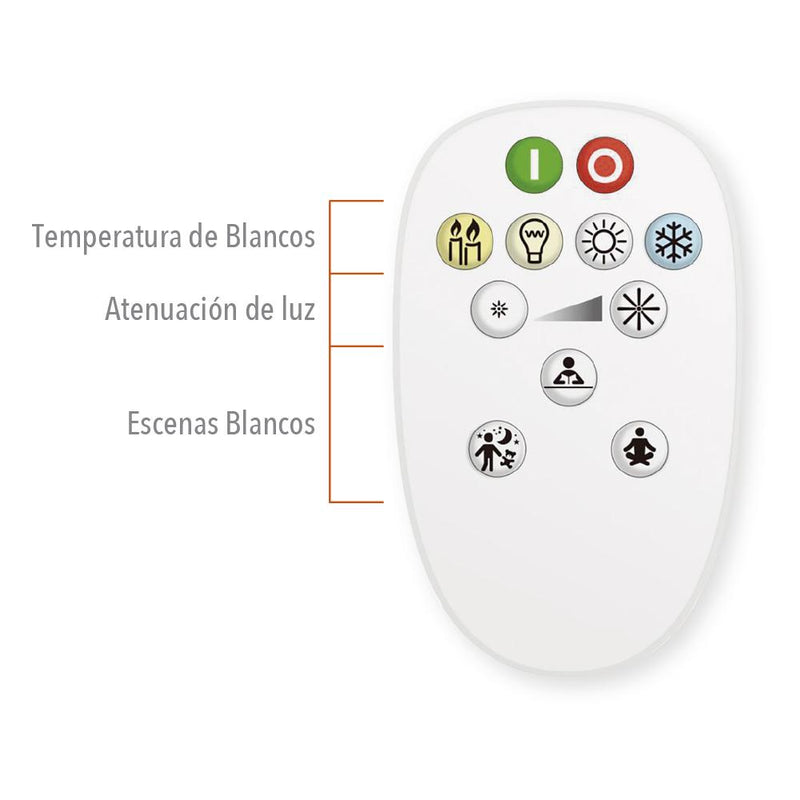 Foco Led 10DA19LEDCCTIDVBK Wave III