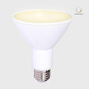 Foco Led 10DPAR30LLED30V40 Pegasus Iv