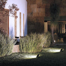 Reflector Exterior 10LQLED65MVN Cyperus I