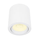 Riel Y Spot Interior 10YSNLED009MV30B Ashlesha