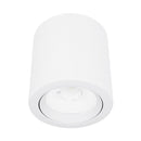 Riel Y Spot Interior 10YSNLED009MV30B Ashlesha