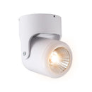 Riel Y Spot Interior 10YSNLED025MV30B Alniya I