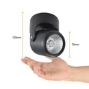 Riel Y Spot Interior 10YSNLED025MV30N Alniya I