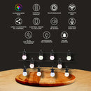 Guirnalda Serie de Focos LED 12GRLEDRGBMVNTCW Light Garland Smart RGB 12Wx10 Wi-Fi