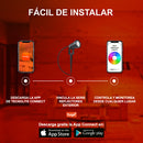 Estaca Exterior Serie Reflectores Exterior 12HLED59RGBMVNTCW Smart Color Beams 12Wx4