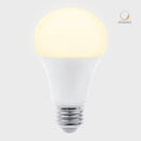 Foco Led 13DA19LED30V Titanium II