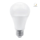 Foco Led 13DA19LED30V Titanium II