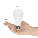 Foco Led 15DA19LED30V