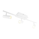 Riel Y Spot Interior 18LVRLED893MV30B Acrux I