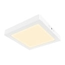 Plafon Interior 18PTLLEDC30MVB Algedi III