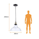 Colgante Interior 20CTL817MVCT Maia II