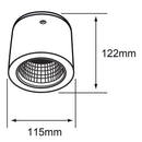 Riel Y Spot Interior 20DYSNLED009V30B Ashlesha I