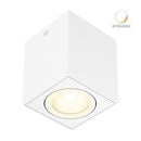 Riel Y Spot Interior 20DYSNLED010V30B Asterope I