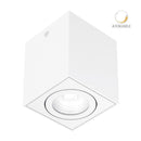 Riel Y Spot Interior 20DYSNLED010V30B Asterope I