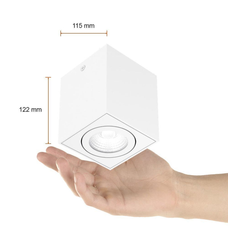 Riel Y Spot Interior 20DYSNLED010V30B Asterope I