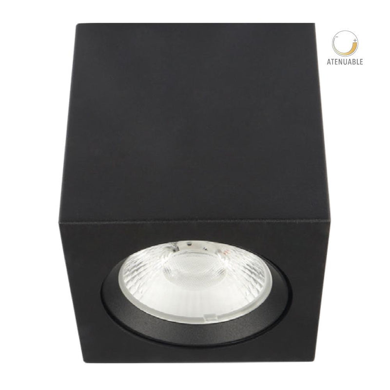 Riel Y Spot Interior 20DYSNLED010V30N Asterope I