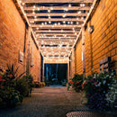 Foco Led 2DA19LEDFT20VA Adhafera