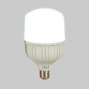 Foco Led 30LHBLEDT65MV200 Lich III