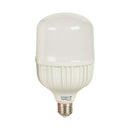 Foco Led 30LHBLEDT65MV200 Lich III