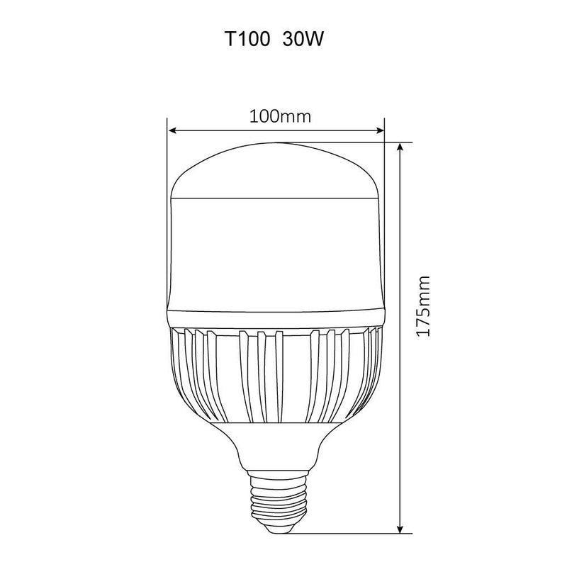 Foco Led 30LHBLEDT65MV200 Lich III