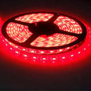 Tira Led Modelo EG-TL-5050-30LEDS_R_IP20 Proveedor Energain