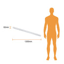 Gabinete Interior 36FLCPLED120MV65B Leda II