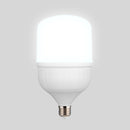 Foco Led 40LHBLED65MV200 Lich III