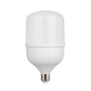 Foco Led 40LHBLED65MV200 Lich III