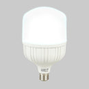 Foco Led 40LHBLEDT65MV200 Lich III