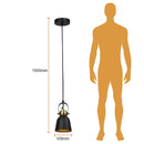 Colgante Interior 60CTL8001MVN Ran I