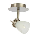 Riel Y Spot Interior 60LVC801VS Brassa