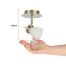 Riel Y Spot Interior 60LVC801VS Brassa