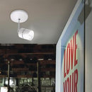 Riel Y Spot Interior 60YSN368LMVB Bellagio