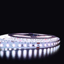 Tira Led Modelo 86236 Led Ecoflex 12w/865 12v Ip20 950lm/M 5m Proveedor Ledvance Osram