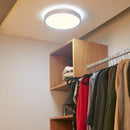 Plafon Interior FC-LEDRL/004/30/S Anser II