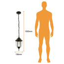 Farol FTL-6003/N Santiago