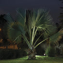 Estaca Exterior H-780/CF Baco