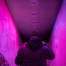 Foco Fluorescente HEL-20W/BLB