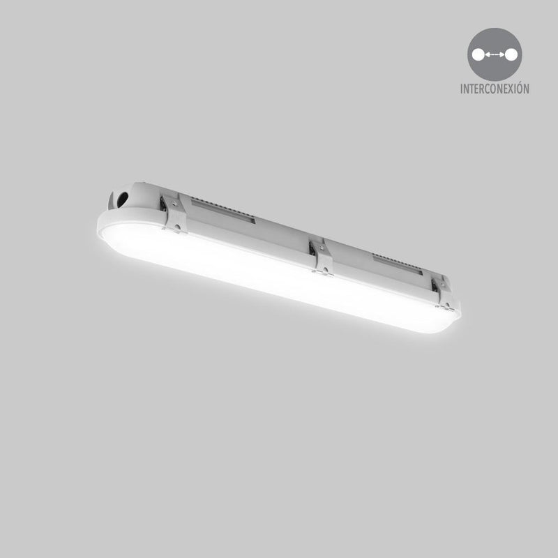 Luminaria de Sobreponer Techo Industrial y Grandes Superficies  IN4043GBNB Construlita