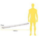 Luminaria de Sobreponer Techo Industrial y Grandes Superficies  IN4045GBNB Construlita