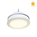 Luminaria de Suspender Industrial y Grandes Superficies  IN8007BBCA Construlita