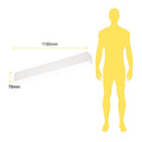 Luminaria de Sobreponer en Techo Oficinas y Corporativos OF4048BBNA Construlita