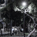 Luminaria de Poste / Punta Poste Urbano y Arquitectónico OU9021FBNA Construlita