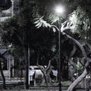 Luminaria de Poste / Punta Poste Urbano y Arquitectónico OU9100FBNA Construlita