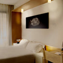 Plafon Interior PTL-5115/S