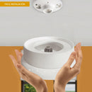 Plafon Interior PTLELED/004/65/B Columbus