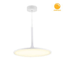 Luminaria de Suspender , Residencial, Hospitalidad, Servicios y Diseño RE8043BBCB Construlita