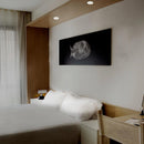 Empotrado Interior YDC-345/B Acari I