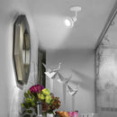 Riel Y Spot Interior YS-398/B Belforti I